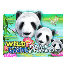 Wild Gaint Panda เกมสล็อต JOKER เว็บตรง โจ๊กเกอร์เบทฟิก เกมสล็อตโจ๊กเกอร์